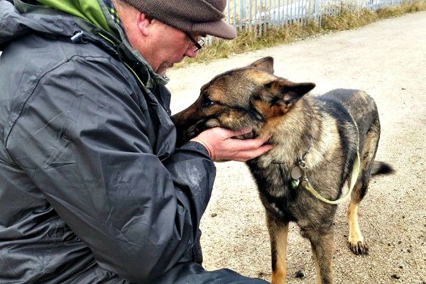 Russell Jones from Rumbles Dog Walking