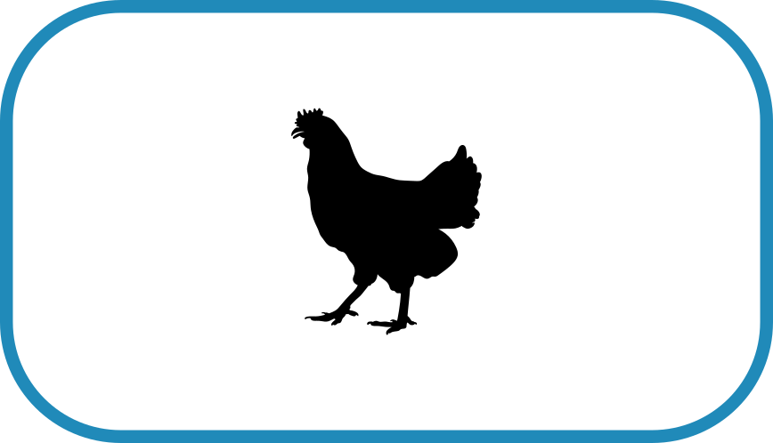 Rumbles Dog Walking - Chicken