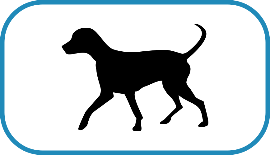 Rumbles Dog Walking - Dog